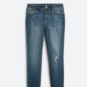 1822 Denim Catriona Tencel Distressed Skinny Jean - Size 16W